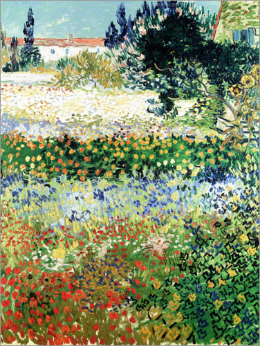 Poster Jardin fleuri à Arles