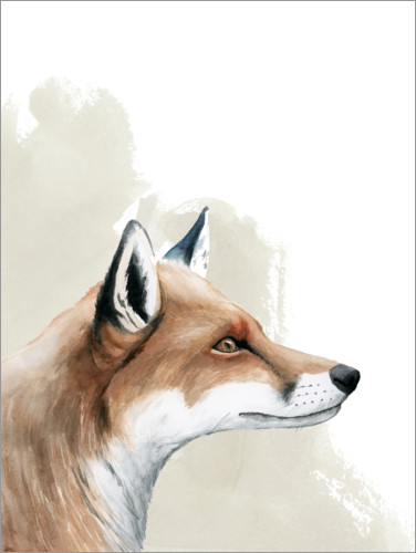 Poster Animaux de la forêt, le renard