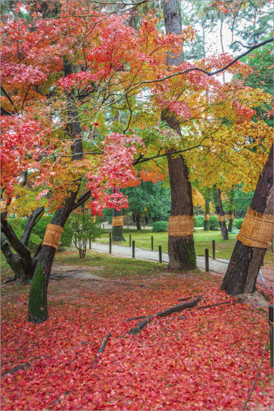 Poster Okayama, jardin japonais