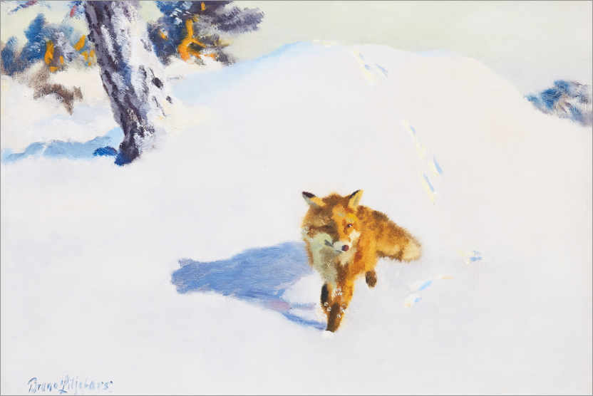 Poster Renard dans un paysage d'hiver