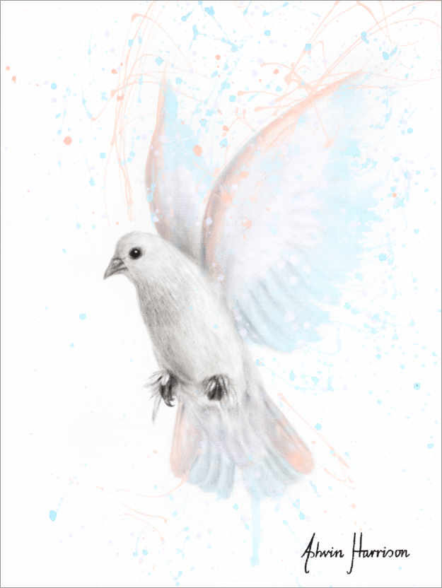 Poster Colombe de la paix