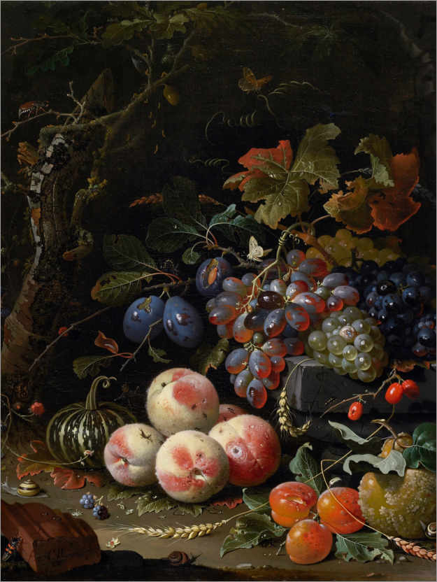 Poster Nature morte avec fruits, feuilles et insectes