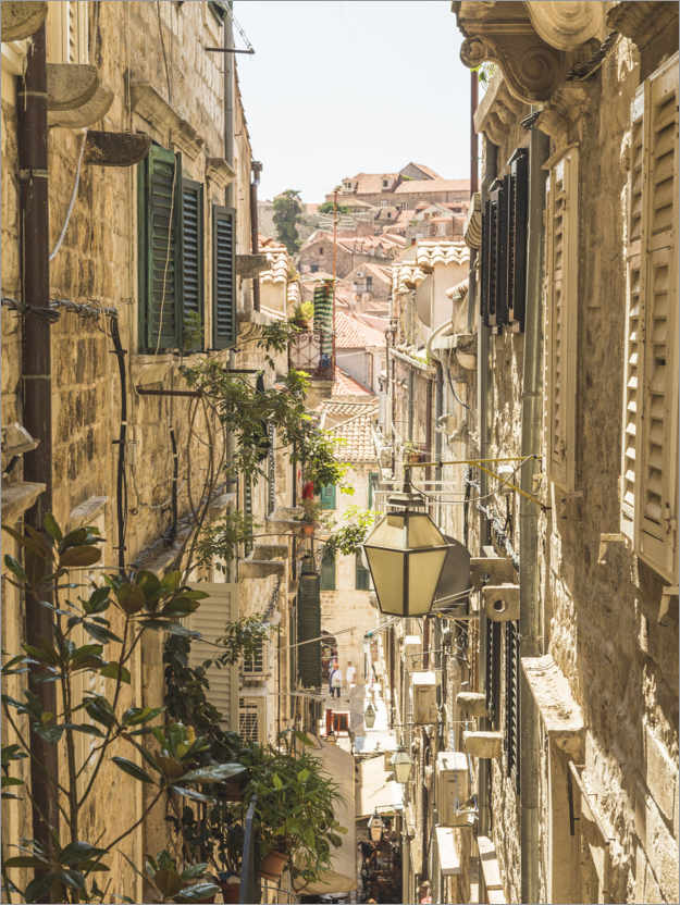 Poster Rues de Dubrovnik