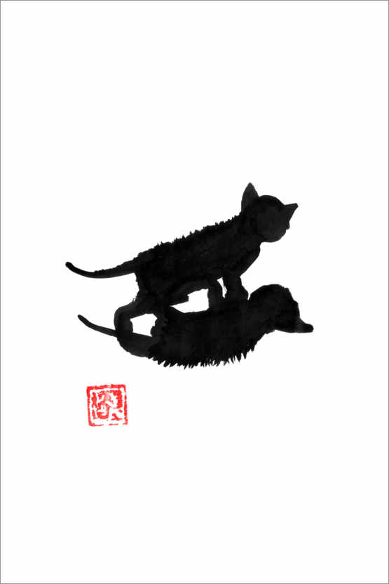 Poster Ombre de chat