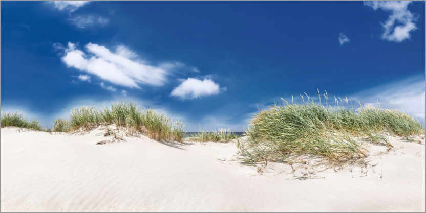Poster Paysage de dunes panoramique sur la plage de la mer Baltique