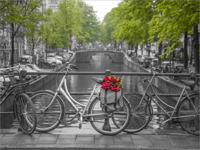 Poster Amsterdam, vélos sur le pont et tulipes
