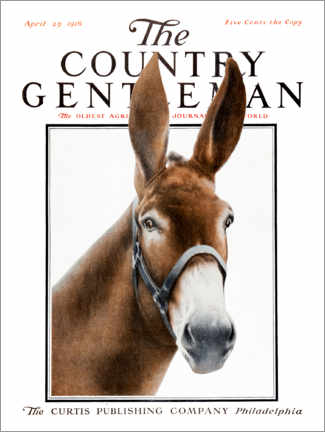 Tableau sur toile  The Country Gentleman (âne) - Remsberg