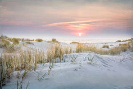 Tableau en aluminium  Lever de soleil dans les dunes de Sylt - Christian Müringer