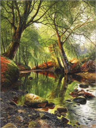 Tableau sur toile  Un ruisseau forestier - Peder Mørk Mønsted