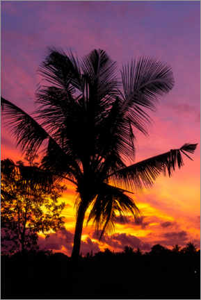 Poster  Palmier au coucher du soleil - Road To Aloha
