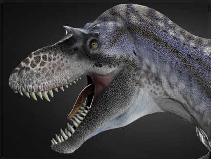 Poster Portrait d’Albertosaurus