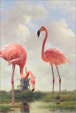 Poster Flamants roses à la pêche