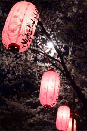 Poster Lanternes du festival d'été avec des fleurs de cerisier
