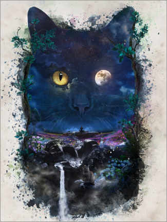 Poster Chat de la nuit