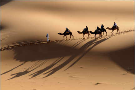 Poster  Une caravane de chameaux traverse les dunes de sable du Sahara - Michael Runkel