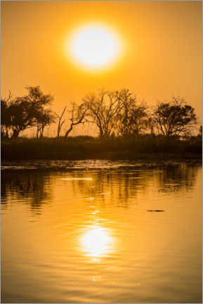 Tableau en bois  Paysage fluvial dans le delta de l'Okavango - Matthias Graben