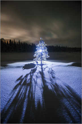 Poster  Arbre solitaire la nuit dans le paysage d'hiver - Matthew Williams-Ellis