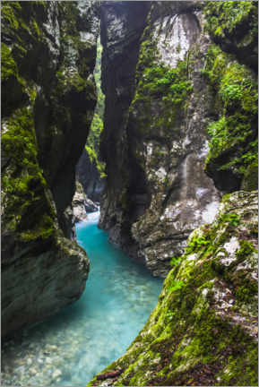 Poster Canyon dans le parc national du Triglav en Slovénie