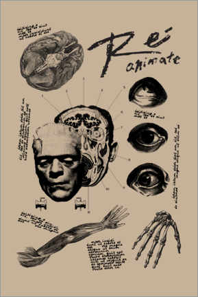 Poster  Frankenstein - Reanimate