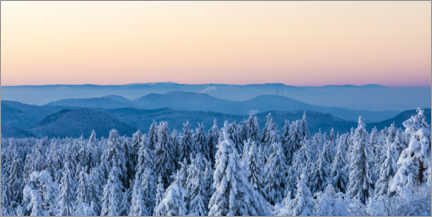 Poster  L'hiver dans le parc national de la Forêt-Noire - Dieterich Fotografie