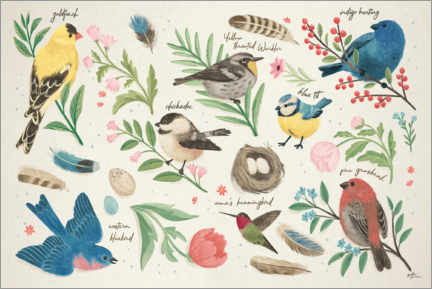 Poster Étude d'oiseaux