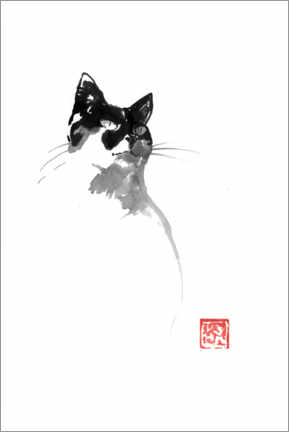Poster Peeking cat I