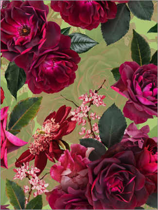 Poster Jardin de roses botanique d'été vintage
