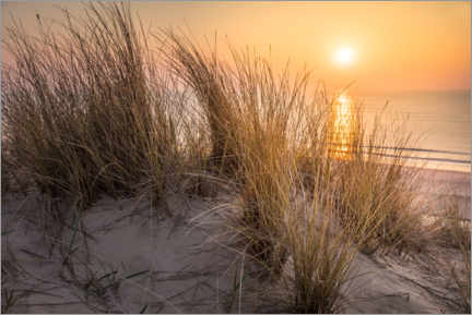 Poster Coucher de soleil sur la plage ouest de Sylt