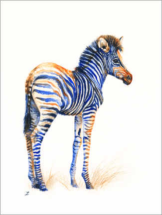 Poster Baby Zebra