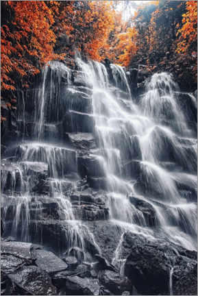 Poster Waterfall