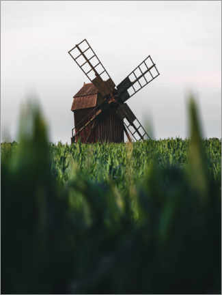 Poster Windmill