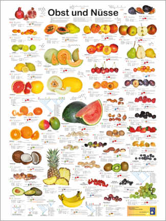 Tableau en PVC  Fruits et noix (allemand) - Planet Poster Editions