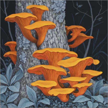 Tableau en verre acrylique  Fungi - Vasilisa Romanenko