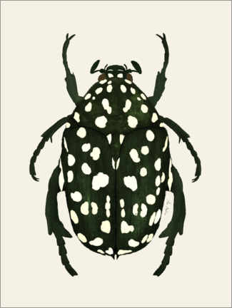 Poster  Green beetle - EL BUEN LIMÒN