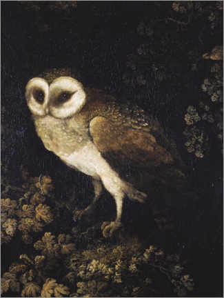 Poster An Owl