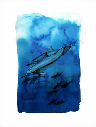 Poster Shoal of dolphins under water
