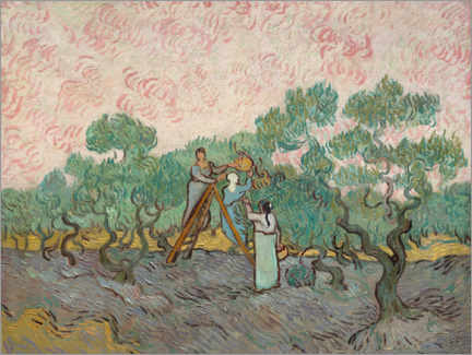 Poster  Les cueilleurs d'olives - Vincent van Gogh
