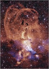 Tableau en plexi-alu  Nébuleuse de la Statue (NGC 3576) - NASA