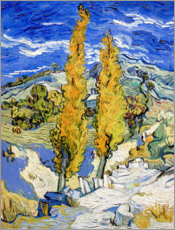 Tableau en PVC  Deux peupliers sur une colline - Vincent van Gogh