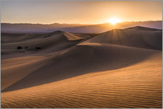Sticker mural  Coucher de soleil sur les dunes de la vallée de la Mort - Andreas Wonisch