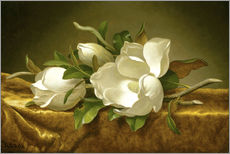 Tableau en plexi-alu  Magnolias sur une nappe en velours doré - Martin Johnson Heade