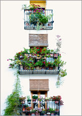 Tableau en plexi-alu  Façade avec balcons fleuris à Valence