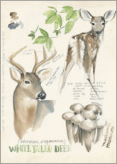 Sticker mural  Cerf et champignons (anglais) - Jennifer Parker