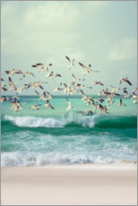 Tableau en plexi-alu  Mouettes sur la plage - Art Couture