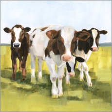 Poster Vaches au pâturage II