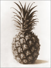 Tableau en PVC  Ananas - Karl Blossfeldt