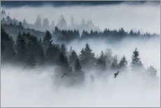 Sticker mural  Forêt dans le brouillard - Mikolaj Gospodarek