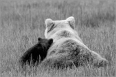 Tableau en plexi-alu  Maman grizzli et son ourson - Brenda Tharp