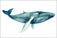 Poster Le chant des baleines II