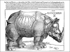 Sticker mural  Rhinocéros (texte en allemand) - Albrecht Dürer